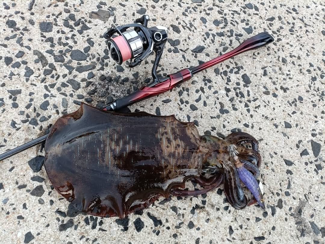 この夜で変わるイメージ