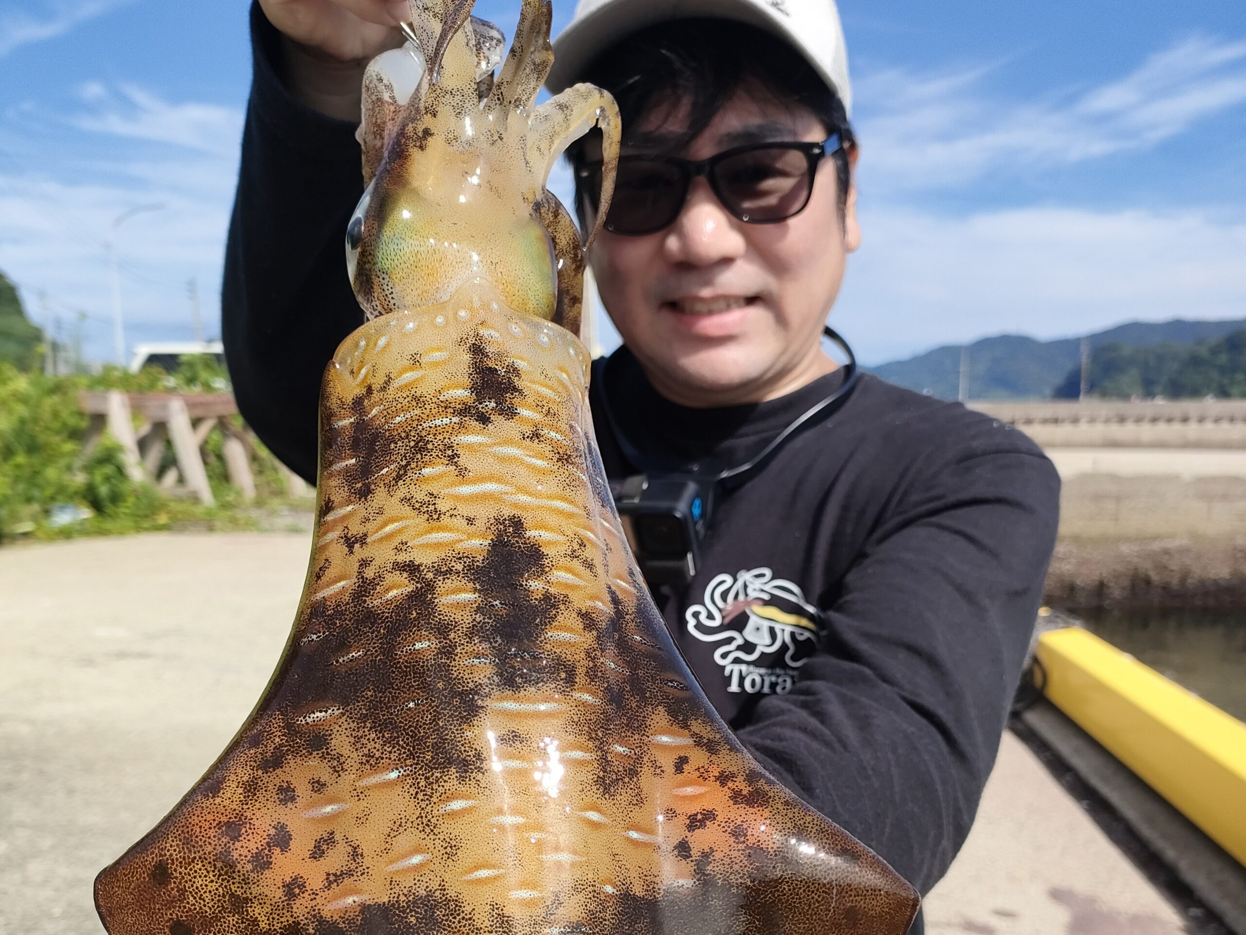 保護中: FIELD REPORT #4 誰も投げてない港